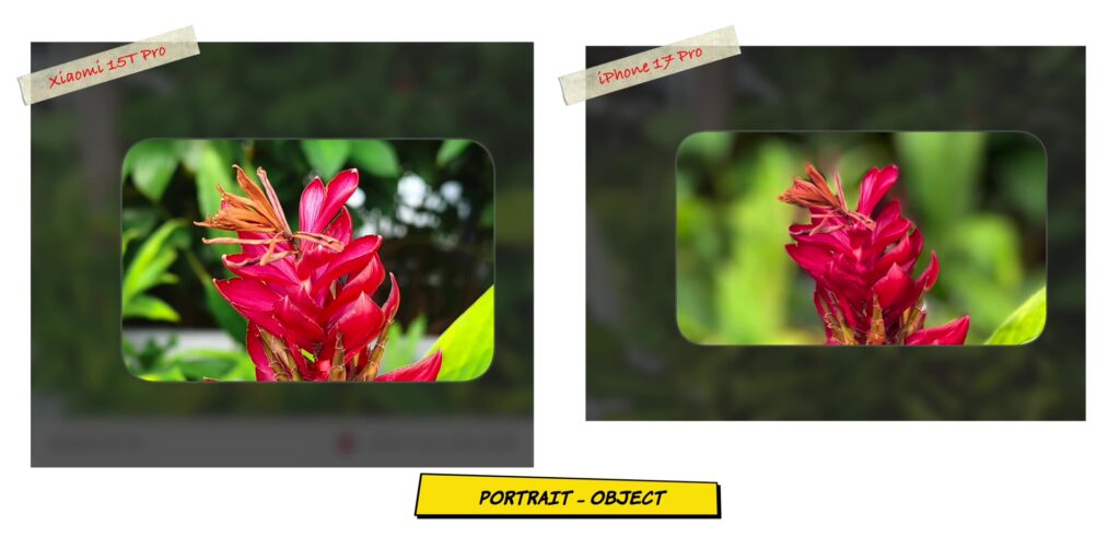 Xiaomi 15T Pro vs iPhone 17 Pro: In-Depth Camera Comparison 32 2.12 PRT obj zoom