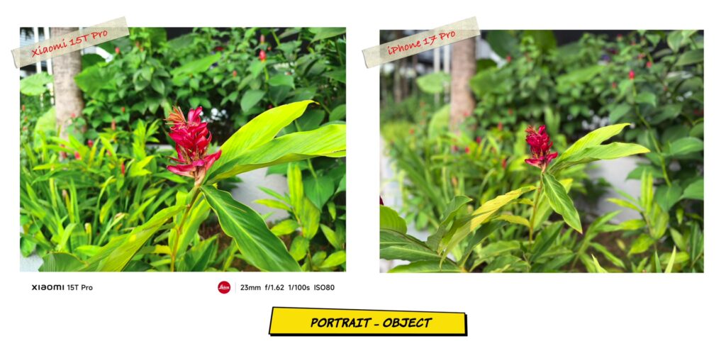 Xiaomi 15T Pro vs iPhone 17 Pro: In-Depth Camera Comparison 31 2.11 PRT obj