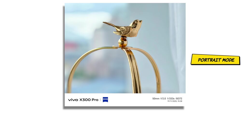 vivo X300 Pro vs iPhone 17 Pro: In-Depth Camera Comparison 40 4.8 PRT 50mm