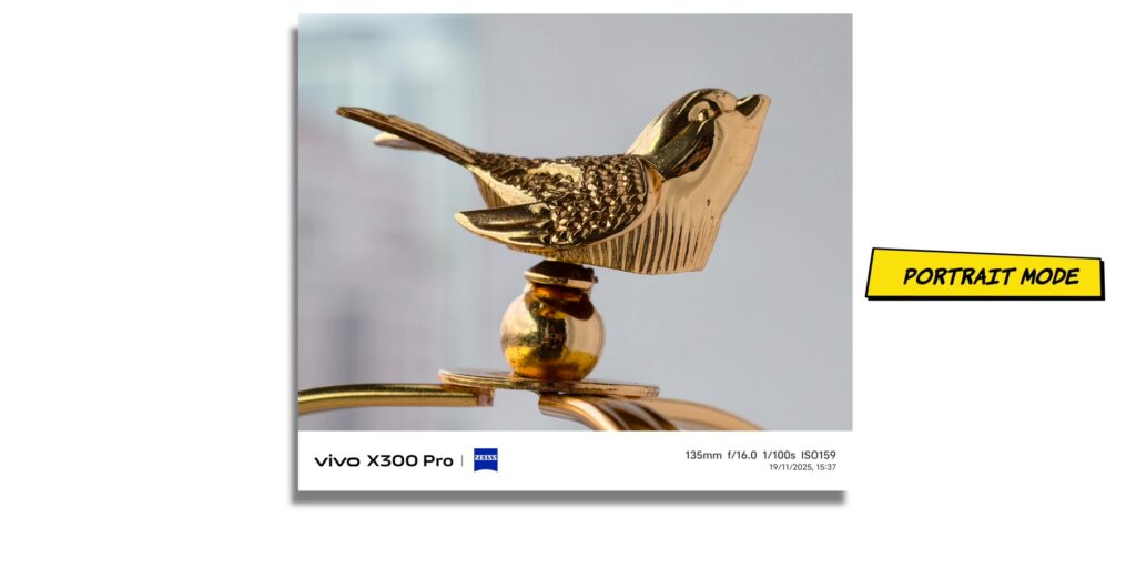 vivo X300 Pro vs iPhone 17 Pro: In-Depth Camera Comparison 41 4.9 PRT 135mm