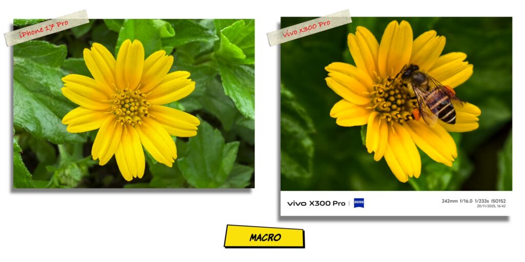 vivo X300 Pro vs iPhone 17 Pro: In-Depth Camera Comparison 34 4.3 macro bee