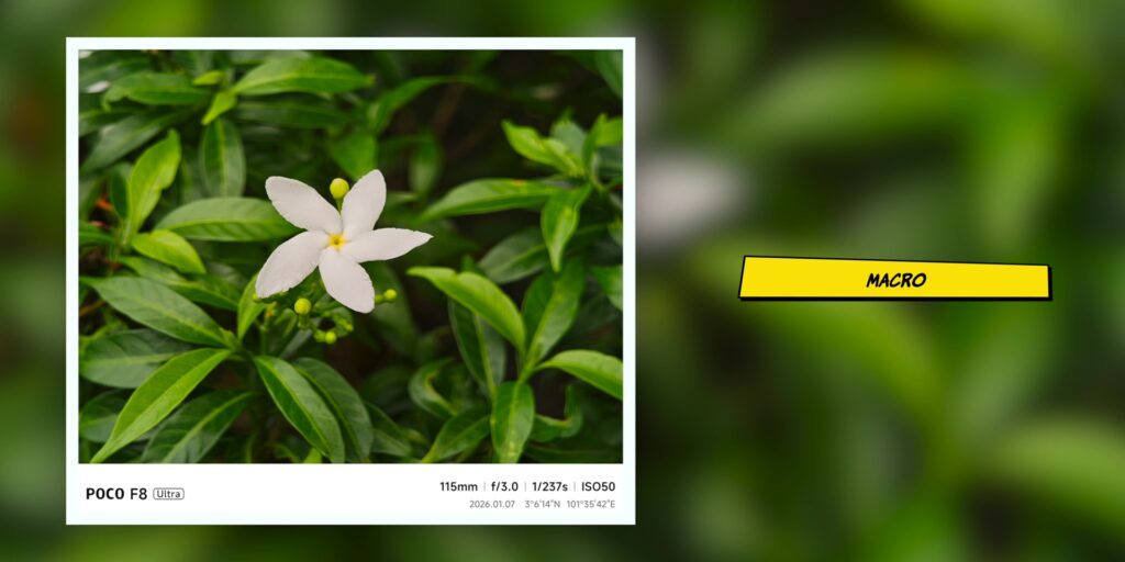 6.2 macro two