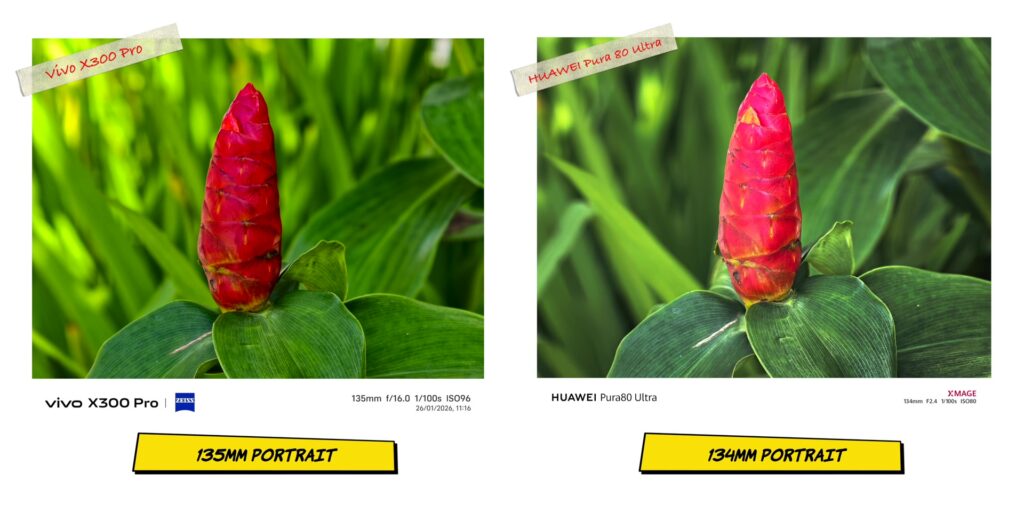 vivo X300 Pro vs HUAWEI Pura80 Ultra: In-Depth Camera Comparison 31 3.9 PRT obj 135mm