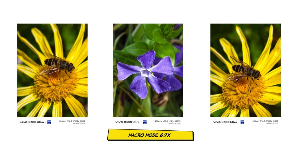 vivo X300 Ultra In-Depth Camera Review: After 1 Month 52 Close-up macro photography sample at 2x and 6x magnification using the vivo X300 Ultra 6.7x