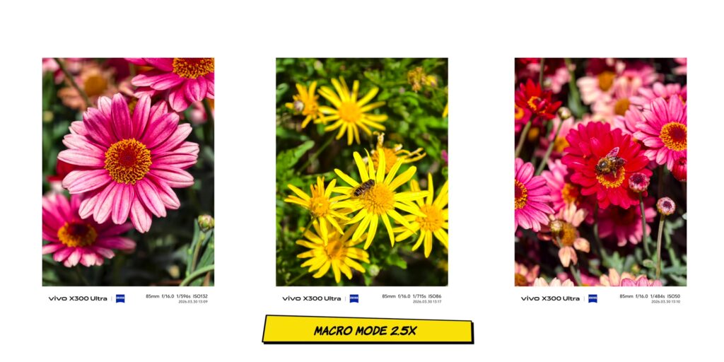 vivo X300 Ultra In-Depth Camera Review: After 1 Month 51 Close-up macro photography sample at 2x and 6x magnification using the vivo X300 Ultra 2.5x