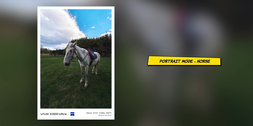 vivo X300 Ultra In-Depth Camera Review: After 1 Month 39 Portrait mode sample at various focal lengths (14mm to 135mm) taken on the vivo X300 Ultra 14mm