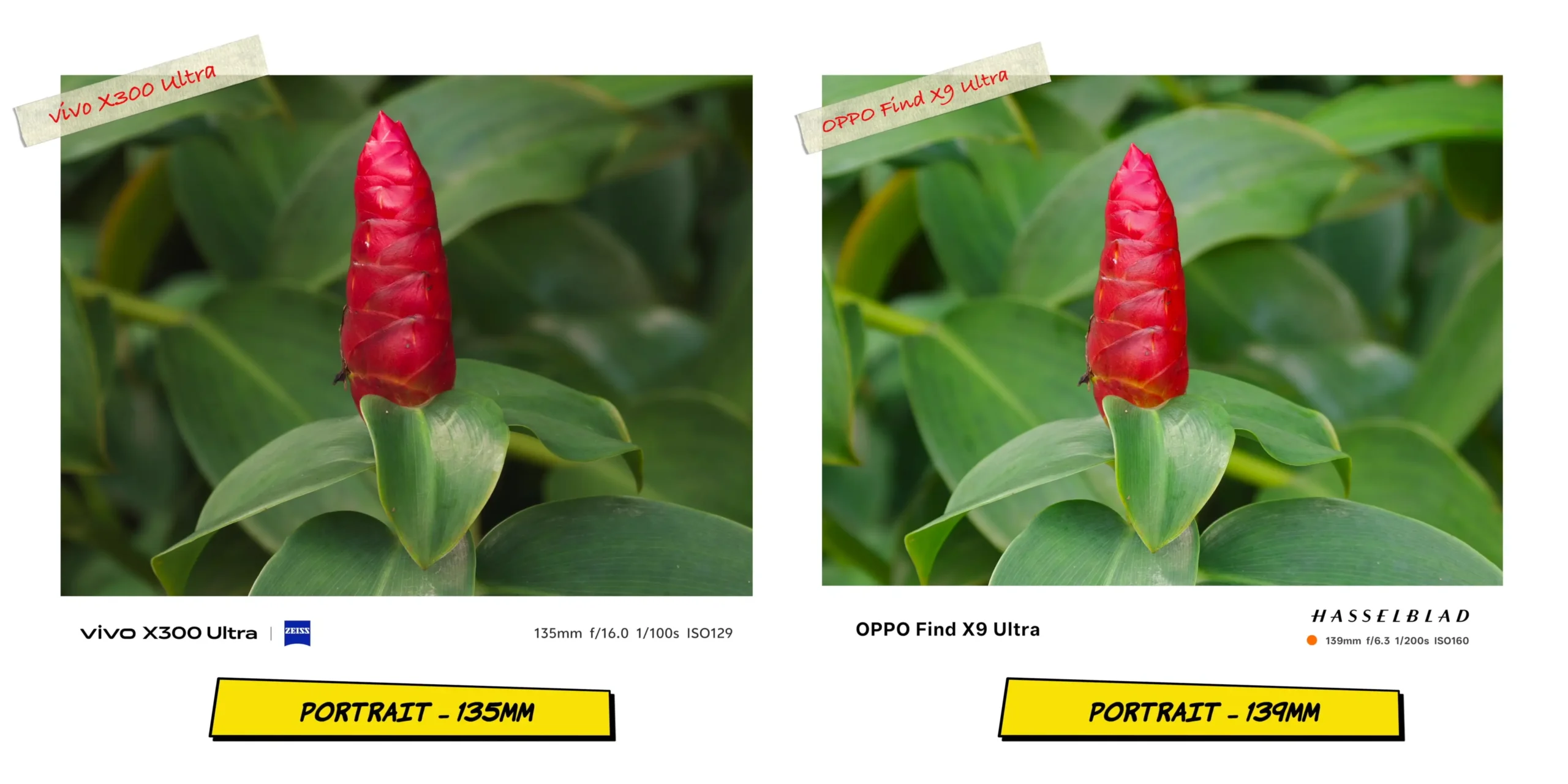 Telephoto portrait sample at 135mm testing compression and bokeh quality behind the subject.