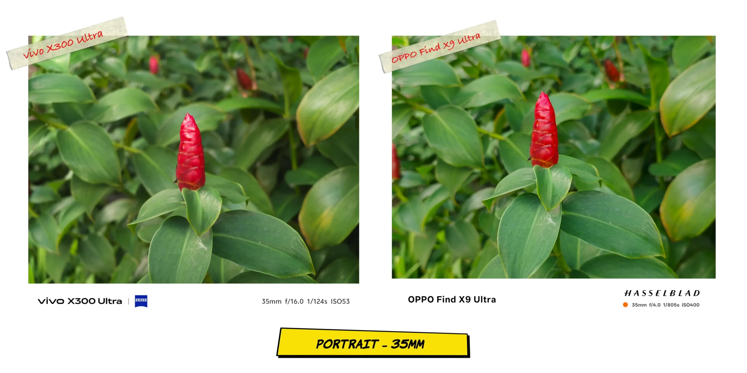 Secondary portrait mode comparison at 35mm in different lighting conditions.