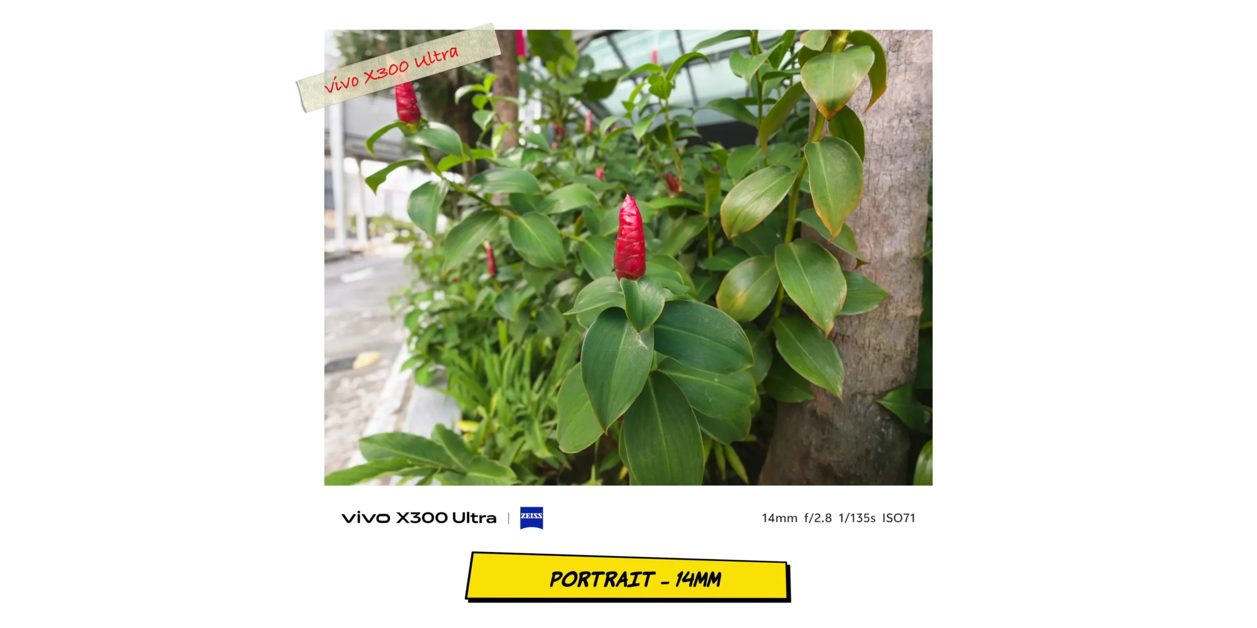 Environmental ultra-wide portrait sample at 14mm showing subject distortion control.